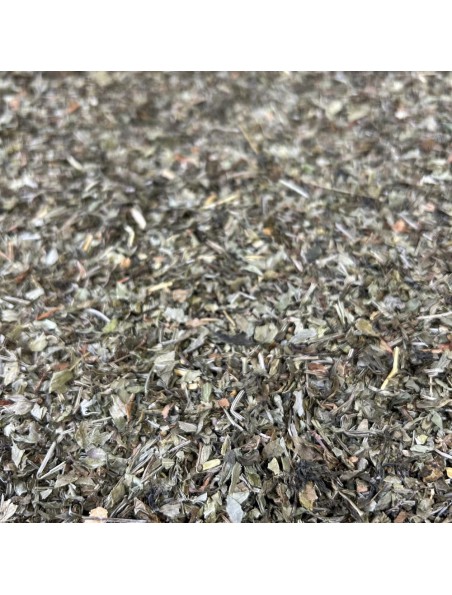 Achetez Aspérule odorante - Partie aérienne coupée 100g - Tisane d'Asperula orodata à l'herboristerie Louis Image principale de Aspérule odorante - Partie aérienne coupée 100g - Tisane d'Asperula orodata