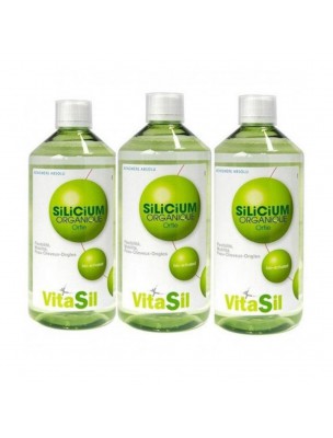 Image de Silicium organique - Articulations et cartilage Pack 3 X 500 ml - Vitasil depuis Résultats de recherche pour "Moringa Mint Or"