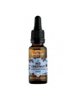 Image de Red Chesnut (Marronnier rouge) n°25 - Sérénité et Confiance Bio aux Fleurs de Bach 20 ml - Biofloral depuis 38 Fleurs de Bach unitaires - Commandez en ligne ! (3)