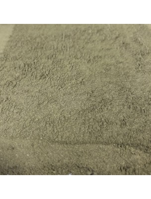 Image de Henné naturel - Feuilles poudre 100g - Tisane de Lawasonia inermis depuis louis-herboristerie