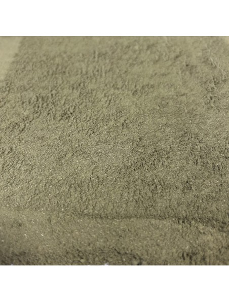 Image principale de Henné naturel - Feuilles poudre 100g - Tisane de Lawasonia inermis