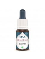 Image de Euphraise Bio - Compréhension et Intuition Elixir floral 15 ml - Deva depuis Elixirs floraux unitaires de Deva - Remèdes naturels pour vos émotions (2)