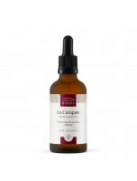 Image de La Carapate Bio - Huile Gainante pour les Cheveux 50 ml - Comptoir des Huiles depuis Huiles essentielles - Découvrez nos produits naturels (13)