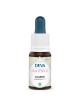 Charme Bio - Force et Vitalité Elixir Floral de Bach 15 ml - Deva