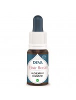 Image de Alchemille commune Bio - Conscience maternelle et Féminité Elixir floral 15 ml - Deva depuis Elixirs floraux unitaires de Deva - Remèdes naturels pour vos émotions
