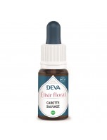 Image de Carotte sauvage Bio - Perspicacité et Sensibilité Elixir floral 15 ml - Deva depuis Elixirs floraux unitaires de Deva - Remèdes naturels pour vos émotions