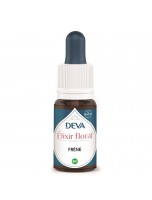 Image de Frêne Bio - Compréhension et Détachement Elixir floral 15 ml - Deva depuis Elixirs floraux unitaires de Deva - Remèdes naturels pour vos émotions (2)