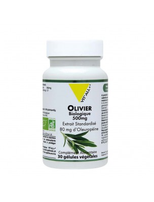 Image 70088 supplémentaire pour Olivier 500mg Bio - Circulation 30 gélules végétales - Vit'all+