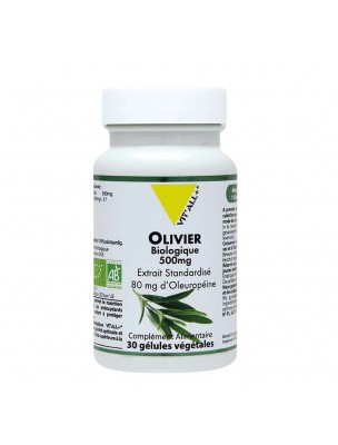 Image de Olivier 500mg Bio - Circulation 30 gélules végétales - Vit'all+ depuis Gélules et comprimés de plantes unitaires - Découvrez notre sélection (5)