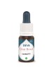 Courgette Bio - Grossesse harmonieuse Elixir floral 15 ml - Deva