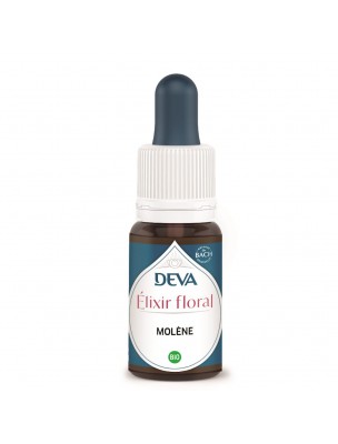 Image de Molène Bio - Ecoute intérieure, Droiture et Rigueur morale Elixir floral 15 ml - Deva depuis Achetez les nouvelles tisanes arrivées à l'herboristerie Louis