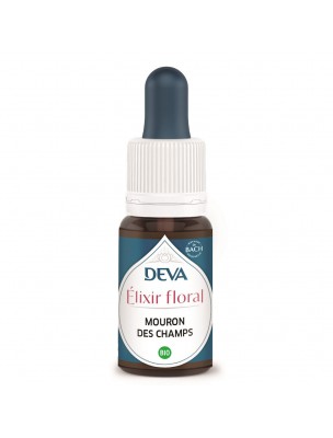 Image de Mouron des Champs Bio - Affirmation de soi Elixir floral 15 ml - Deva depuis Résultats de recherche pour "Tube de p%EF%BF%BD%EF%BF%BDte d%EF%BF%BD%EF%BF%BD%EF%BF%BD"