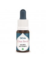 Image de Mouron des Champs Bio - Affirmation de soi Elixir floral 15 ml - Deva depuis Elixirs floraux unitaires de Deva - Remèdes naturels pour vos émotions (2)