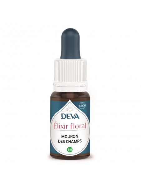 Achetez Mouron des Champs Bio - Affirmation de soi Elixir floral 15 ml - Deva à l'herboristerie Louis Image principale de Mouron des Champs Bio - Affirmation de soi Elixir floral 15 ml - Deva
