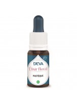 Image de Pastèque Bio - Grossesse harmonieuse Elixir floral 15 ml - Deva depuis Elixirs floraux unitaires de Deva - Remèdes naturels pour vos émotions (2)