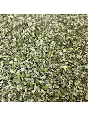 Image de Moringa Bio - Feuilles Coupées 100g - Tisane de Moringa oleifera depuis Commandez les produits Louis Bio à l'herboristerie Louis