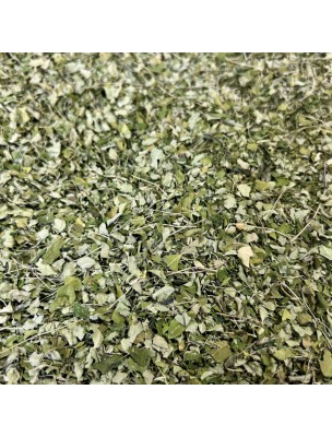 Image de Moringa Bio - Feuilles Coupées 100g - Tisane de Moringa oleifera depuis Résultats de recherche pour "Tisane pour les"