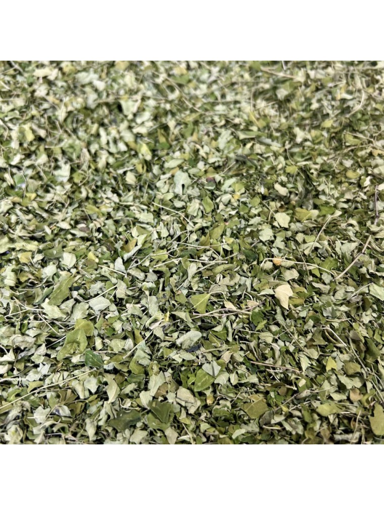 Image principale de la modale pour Moringa Bio - Feuilles Coupées 100g - Tisane de Moringa oleifera