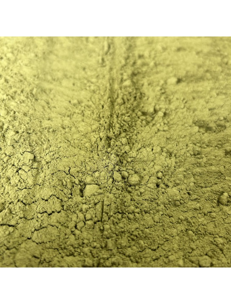 Image principale de la modale pour Matcha Bio - Poudre de 100g - Thé de Camellia sinensis (L.) Kuntze