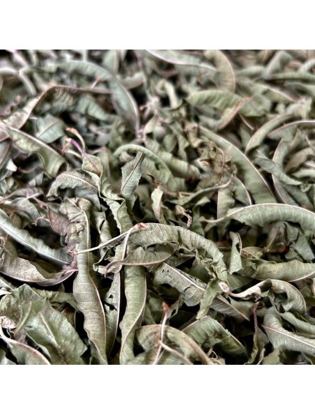 Achetez Verveine citronnée (odorante) Bio - Feuilles entières 50g - Tisane Aloysia citriodora Palau à l'herboristerie Louis Image principale de Verveine citronnée (odorante) Bio - Feuilles entières 50g - Tisane Aloysia citriodora Palau