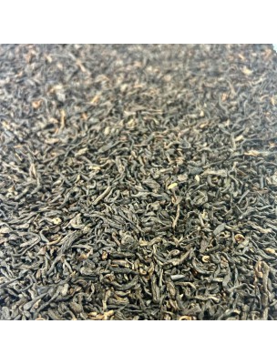 Image de Pu Erh Bio - Thé Bien-être de Chine 100g depuis Thé Noir Lapsang Souchong Shaolin Bio - 100g