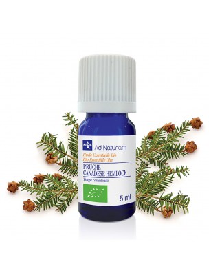 Image de Pruche Bio - Huile essentielle de Tsuga canadensis 5 ml - Ad Naturam depuis Achetez les produits Ad Naturam à l'herboristerie Louis (4)