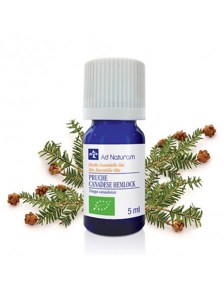 Image principale de Pruche Bio - Huile essentielle de Tsuga canadensis 5 ml - Ad Naturam