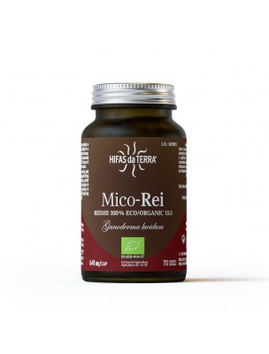 Image de Mico-Rei Bio - Immunité et Tonus 70 capsules - Hifas Da Terra depuis Achetez les produits Hifas da Terra à l'herboristerie Louis