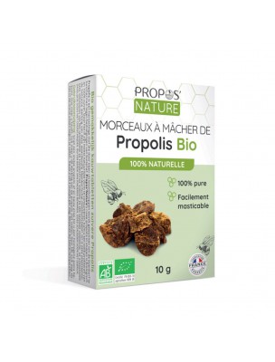 Image de Gommes Propolis Pure à mâcher Bio 10 g - Propos Nature depuis louis-herboristerie
