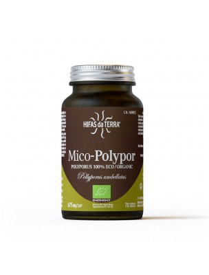 Image de Mico-Polypor Bio - Immunité et Tonus 70 capsules - Hifas Da Terra depuis Achetez les produits Hifas da Terra à l'herboristerie Louis