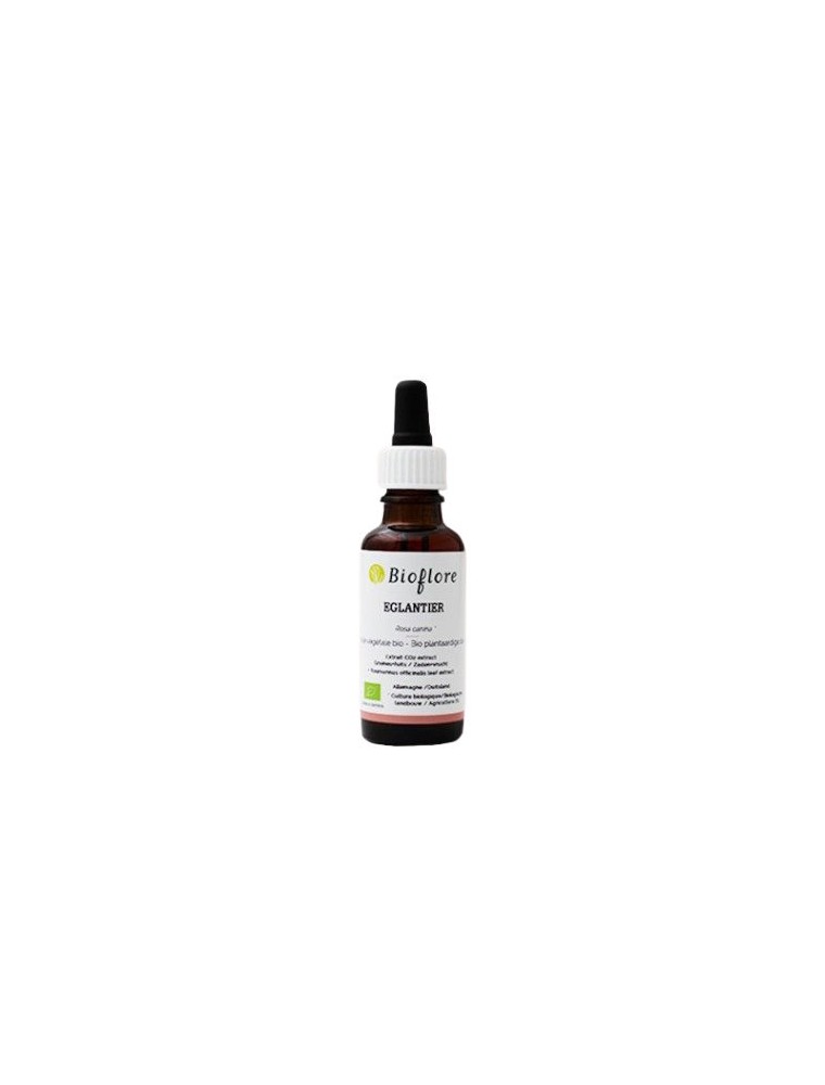 Image principale de la modale pour Eglantier Bio - Huile végétale Rosa canina 30 ml - Bioflore