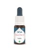 Tilleul Bio - Réceptivité à l\'amour Elixir floral 15 ml - Deva
