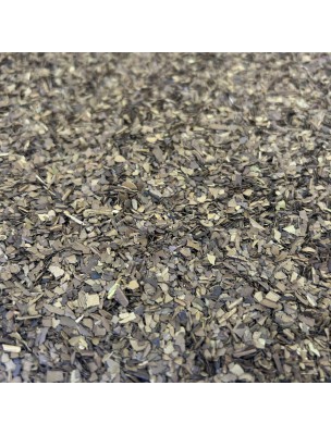 Image de Maté - Feuilles torréfiées 100g - Tisane Ilex paraguariensis depuis PrestaBlog