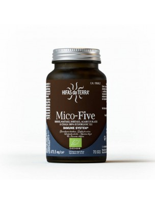Image de Mico-Five Bio - Immunité et Tonus 70 capsules - Hifas Da Terra depuis Achetez les produits Hifas da Terra à l'herboristerie Louis