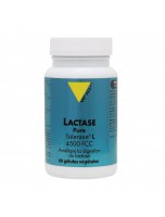 Image de Lactase - Digestion et Flore Intestinale 60 gélules végétales - Vit'all+ depuis Enzymes - Boostez votre digestion