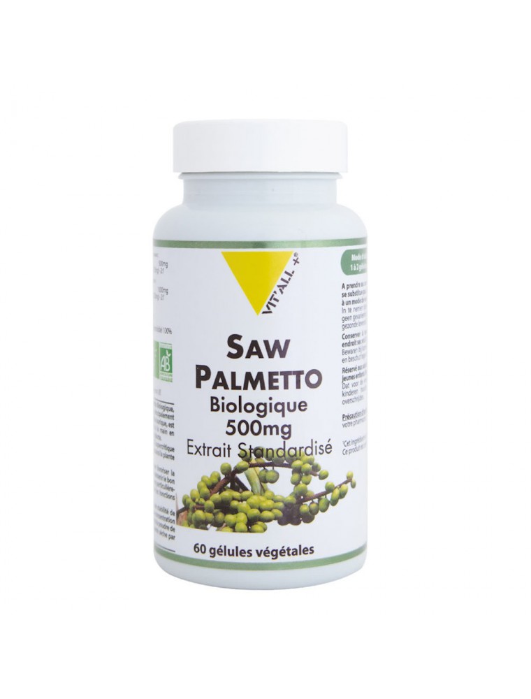 Image principale de la modale pour Saw Palmetto Palmier nain 500mg Bio - Confort urinaire 60 gélules - Vit'all+