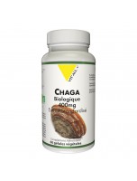 Image de Chaga 400mg Bio - Immunité 60 gélules végétales - Vit'all+ depuis Plantes en gélules - Achat en ligne | PhytoZwell (3)