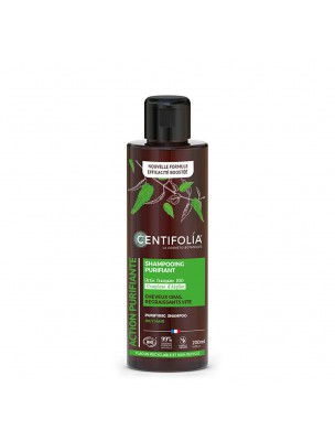 Image de Shampooing Purifiant Bio - Cheveux gras 200 ml - Centifolia depuis Rhapontic - Coloration Naturelle Centifolia