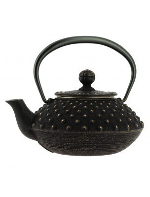 Image 72107 supplémentaire pour Théière en Fonte Iwachu Kanbin Noir Doré 320 ml avec son filtre
