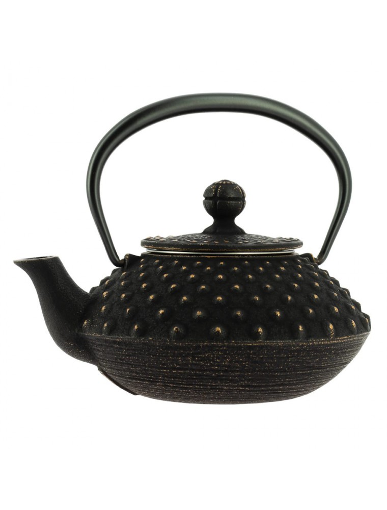 Image principale de la modale pour Théière en Fonte Iwachu Kanbin Noir Doré 320 ml avec son filtre