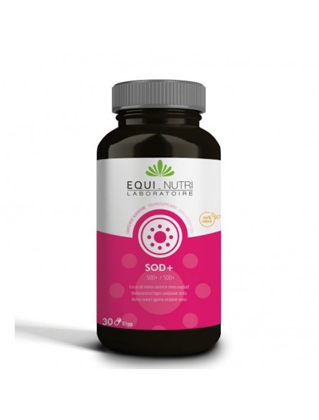 Achetez L-Glutathion Réduit - Antioxydant 30 gélules - Equi-Nutri à l'herboristerie Louis Image principale de L-Glutathion Réduit - Antioxydant 30 gélules - Equi-Nutri
