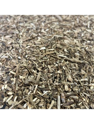 Image de Criste marine - Partie aérienne coupée 100 g - Tisane de Crithmum maritimum depuis louis-herboristerie