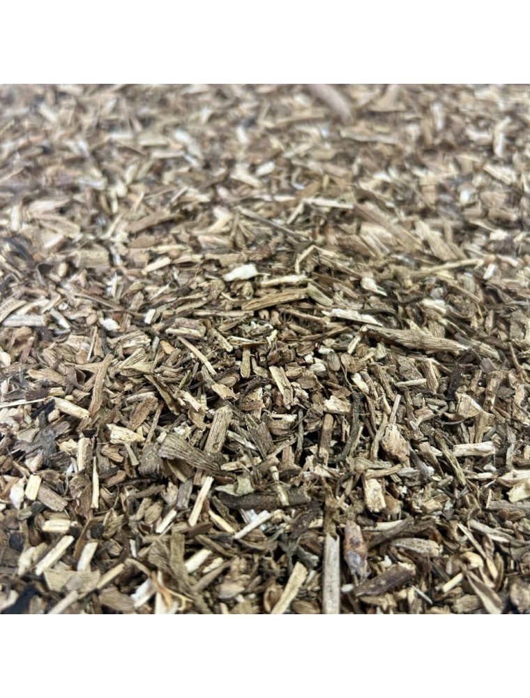 Image principale de la modale pour Criste marine - Partie aérienne coupée 100 g - Tisane de Crithmum maritimum
