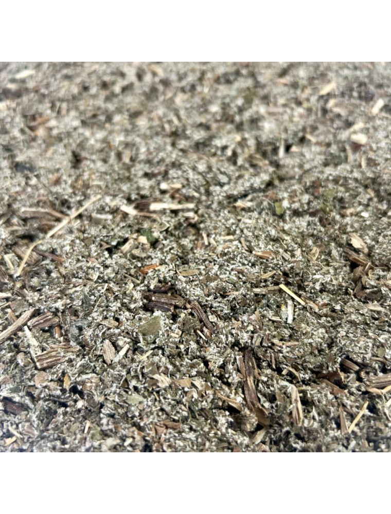 Image principale de la modale pour Bardane - Feuille coupée 100g - Tisane d'Arctium majus