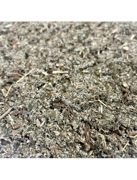 Achetez Bardane - Feuille coupée 100g - Tisane d'Arctium majus à l'herboristerie Louis Image principale de Bardane - Feuille coupée 100g - Tisane d'Arctium majus