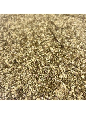 Image de Reine des prés - Fleurs 100g - Tisane de Spiraea ulmaria L. depuis louis-herboristerie