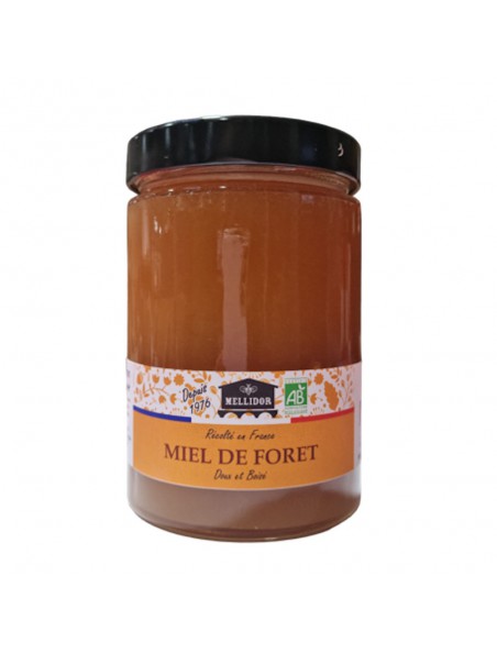 Image principale de Miel de Forêt Bio - Miel Doux et Boisé 400g - Mellidor