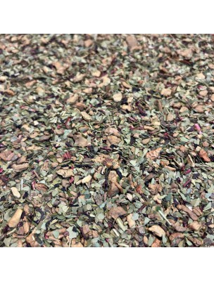 Image 72583 supplémentaire pour Maté de Noël - Maté Vert Parfumé 100g