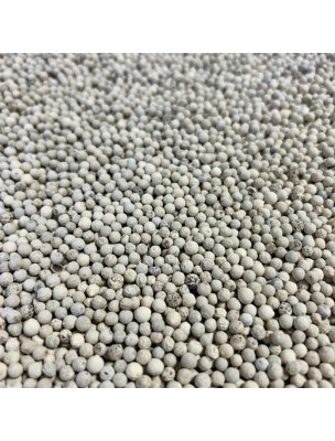 Image 72613 supplémentaire pour Poivre Blanc - Fruit 100g - Tisane de Piper nigrum
