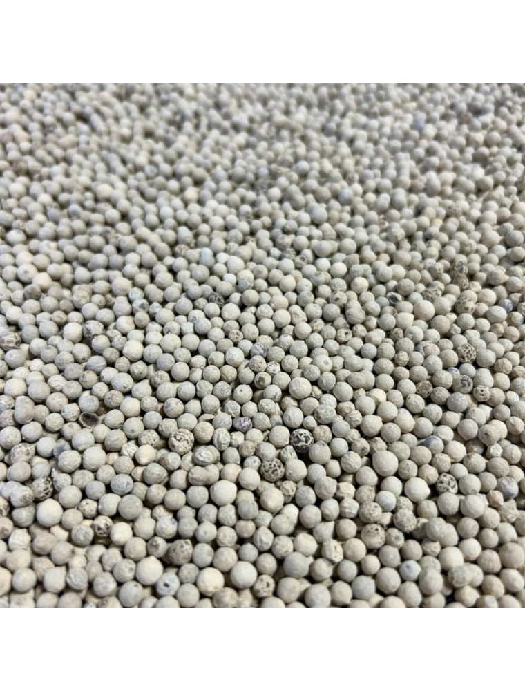 Image principale de la modale pour Poivre Blanc - Fruit 100g - Tisane de Piper nigrum
